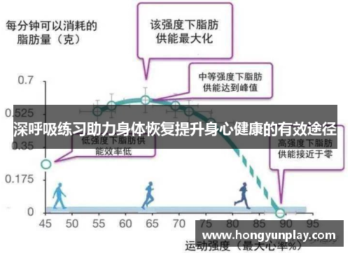 深呼吸练习助力身体恢复提升身心健康的有效途径