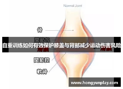 自重训练如何有效保护膝盖与背部减少运动伤害风险