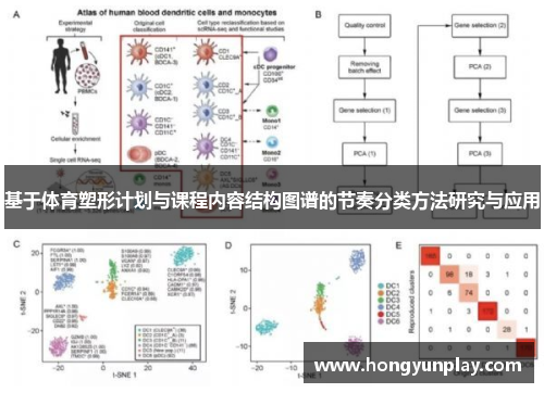 基于体育塑形计划与课程内容结构图谱的节奏分类方法研究与应用
